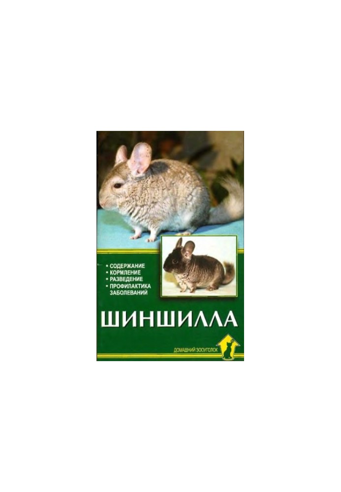 Шиншилла