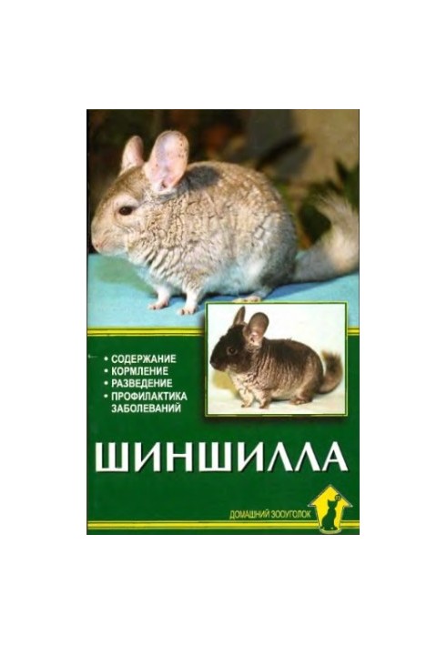 Шиншилла