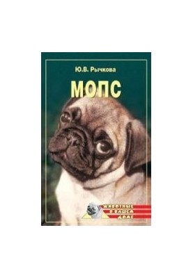 Pug