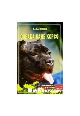 Собака породи Кане-Корсо