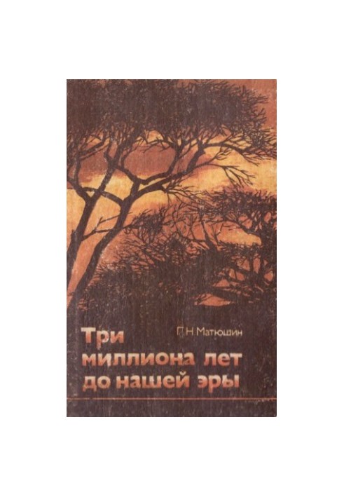 Три миллиона лет до нашей эры.