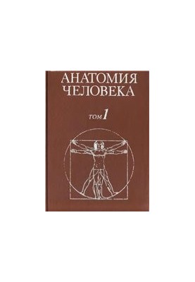 Анатомія людини