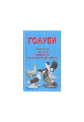 Pigeons.