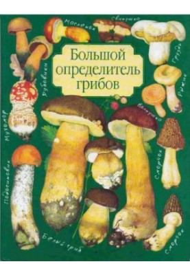 Великий визначник грибів