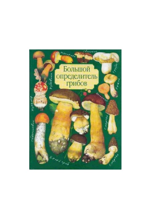 Великий визначник грибів