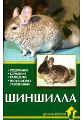 Chinchilla