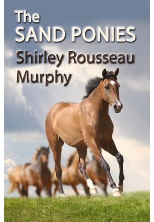 The Sand Ponies