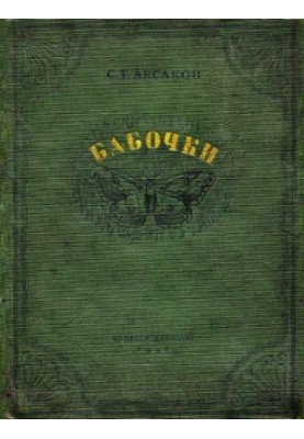 Бабочки