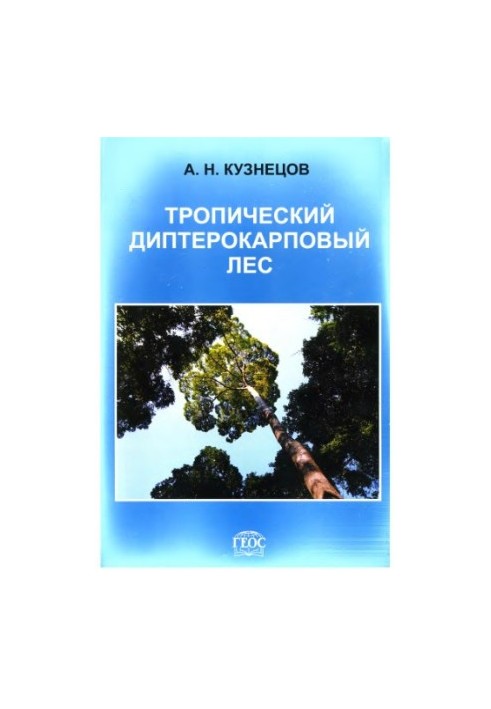 Тропічний диптерокарповий ліс