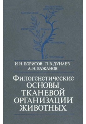 Phylogenetic foundations of animal tissue organization