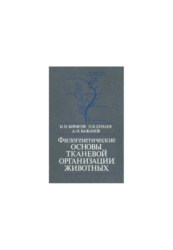 Phylogenetic foundations of animal tissue organization