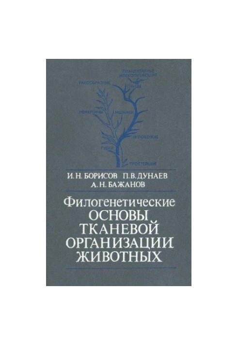 Phylogenetic foundations of animal tissue organization
