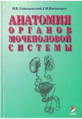 Анатомия органов мочеполовой системы.