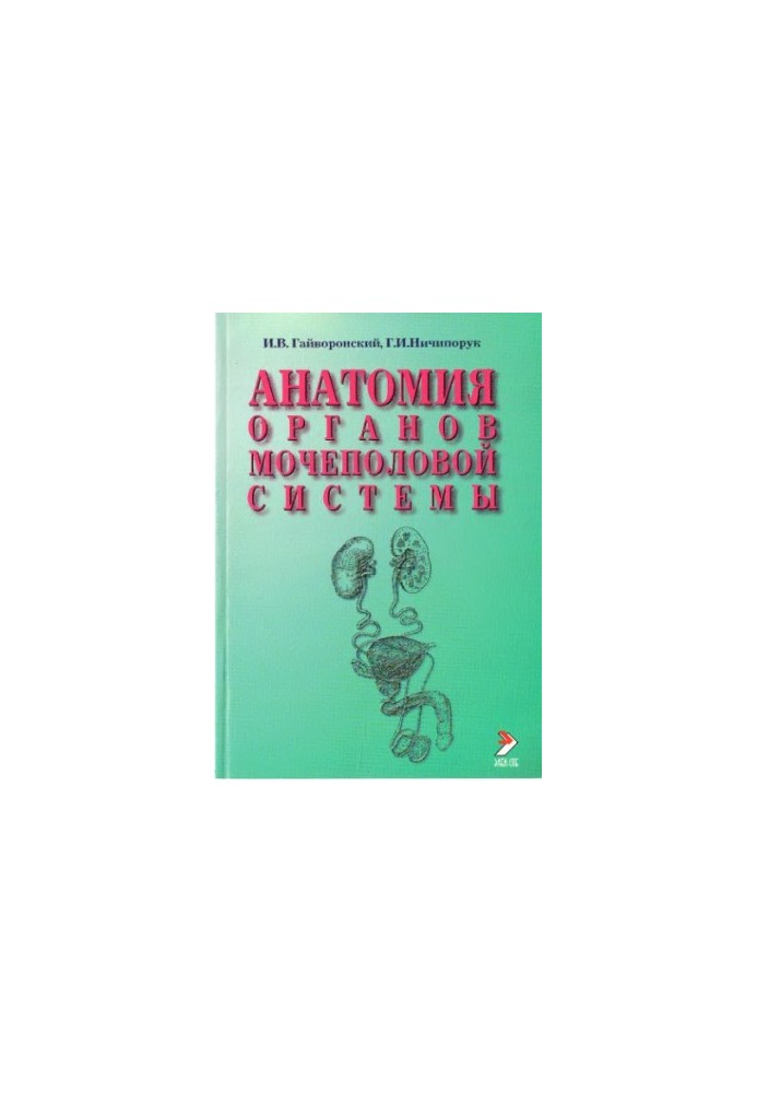 Анатомия органов мочеполовой системы.