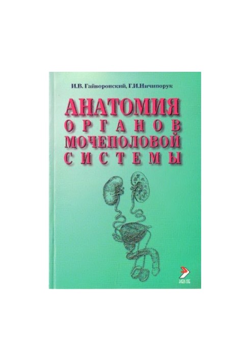 Анатомия органов мочеполовой системы.