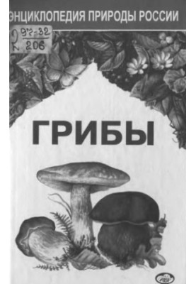 Гриби