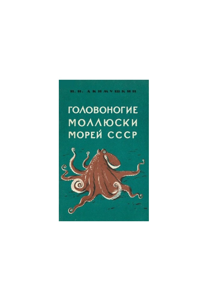 Головоногі молюски морів СРСР