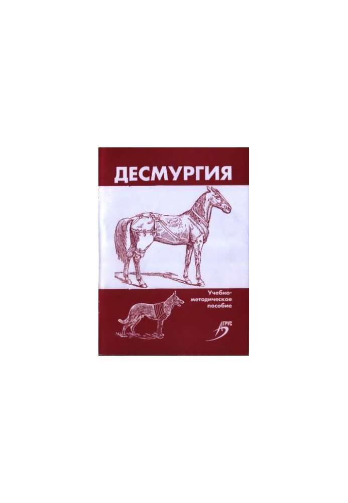 Desmurgia : a practical manual