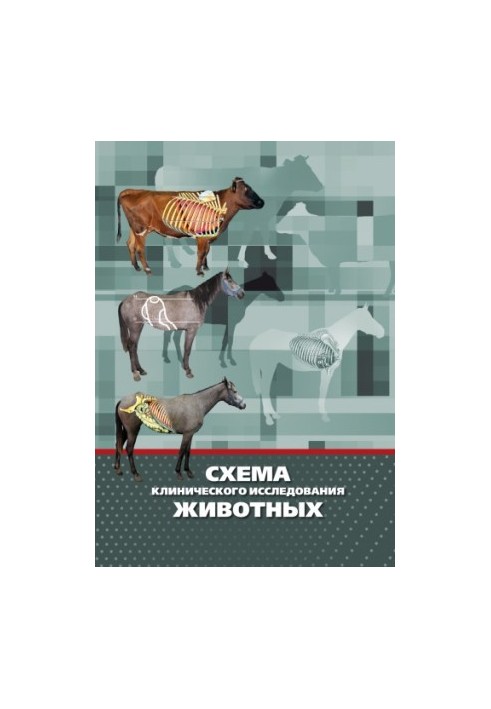 СХЕМА КЛИНИЧЕСКОГО ИССЛЕДОВАНИЯ ЖИВОТНЫХ