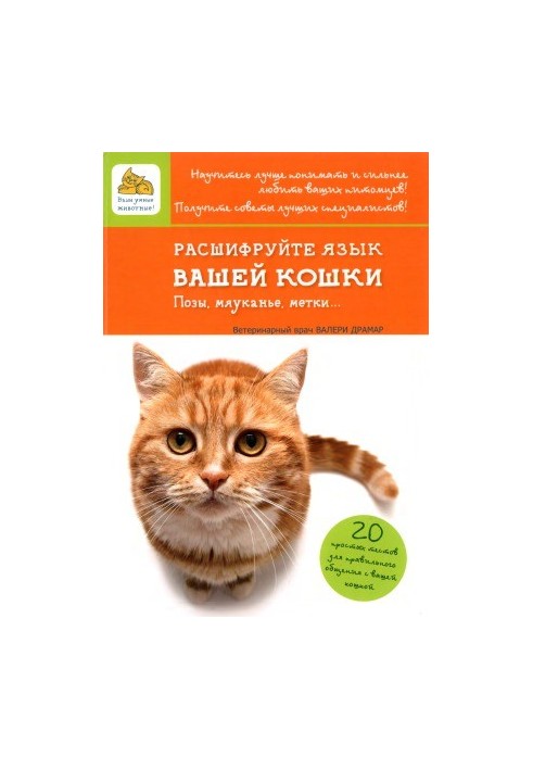 Decrypt your cat's tongue. Poses, meowing, tags