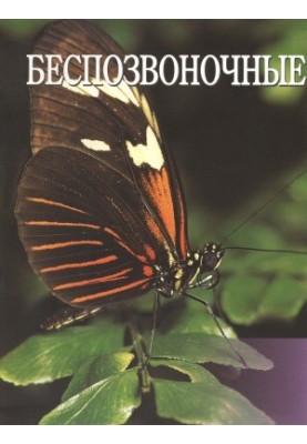 The World of Animals Encyclopedia Volume 5: Invertebrates