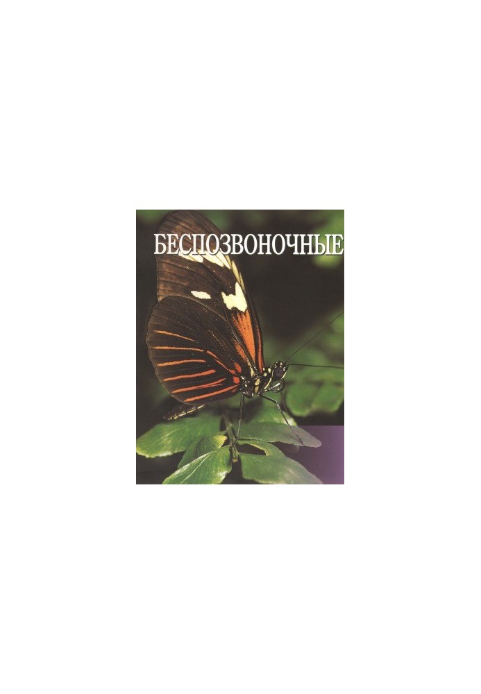 The World of Animals Encyclopedia Volume 5: Invertebrates