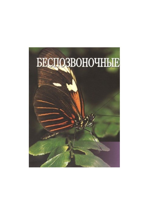 The World of Animals Encyclopedia Volume 5: Invertebrates