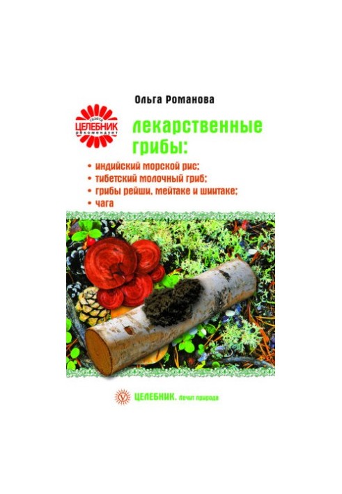 Лекарственные грибы индийский морской рис, тибетский молочный гриб, грибы рейши, мейтаке и шиитаке, чага