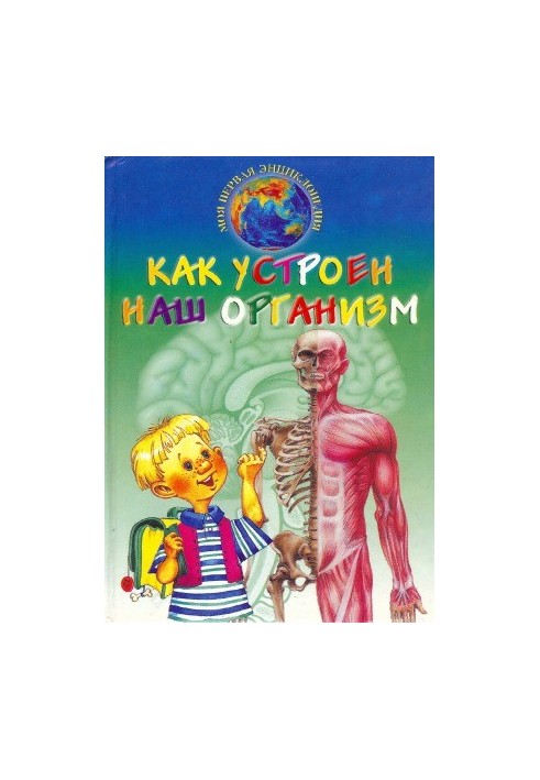 Как устроен наш организм