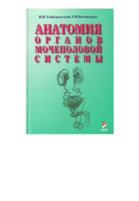 Анатомія органів сечостатевої системи