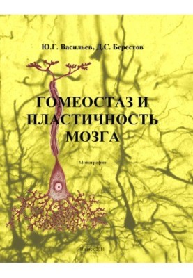 Homeostasis and plasticity of the brain