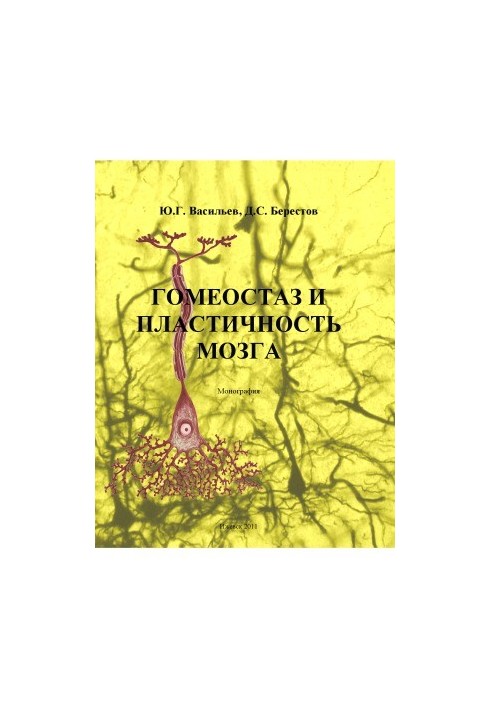 Homeostasis and plasticity of the brain