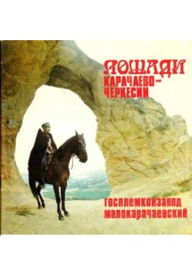 Horses of Karachay-Cherkessia