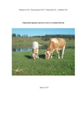Feeding of cattle in Yakutia