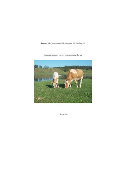 Feeding of cattle in Yakutia