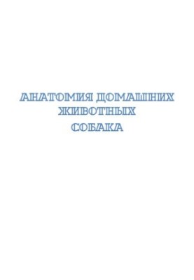 Анатомія домашніх тварин. Собака