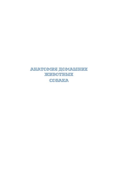 Анатомія домашніх тварин. Собака