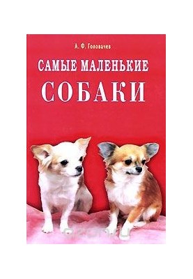 Найменші собаки