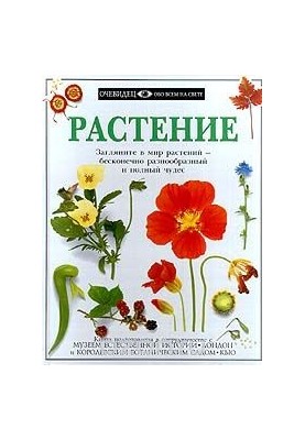 Рослина