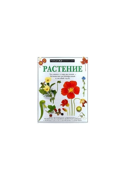 Рослина