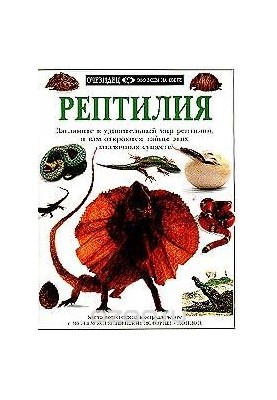 Рептилії: Загляньте в дивовижний світ рептилій, і вам відкриються таємниці цих загадкових істот.
