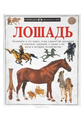 Кінь