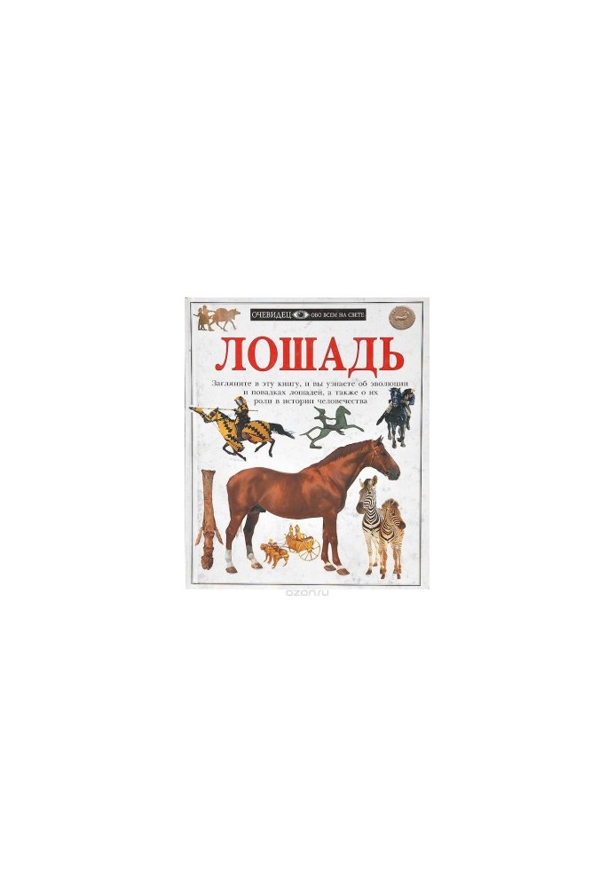 Кінь