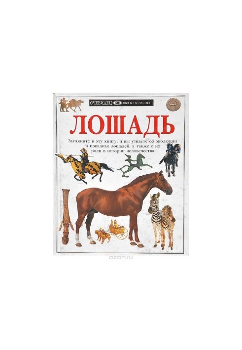 Кінь