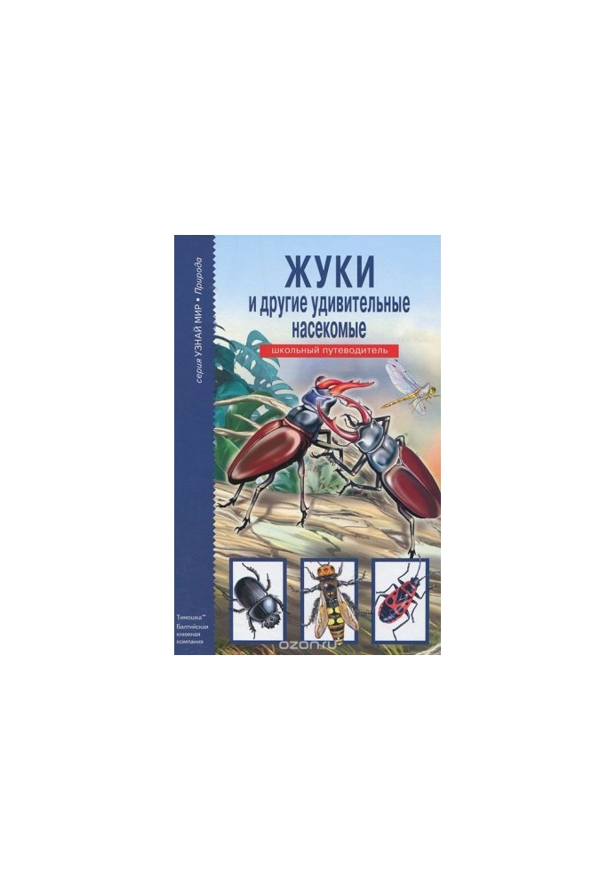 Жуки та інші дивовижні комахи. Шкільний путівник