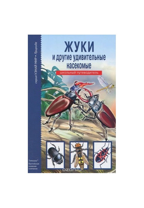 Жуки та інші дивовижні комахи. Шкільний путівник