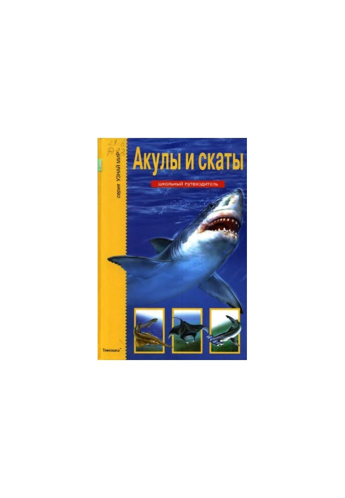 Акули та скати