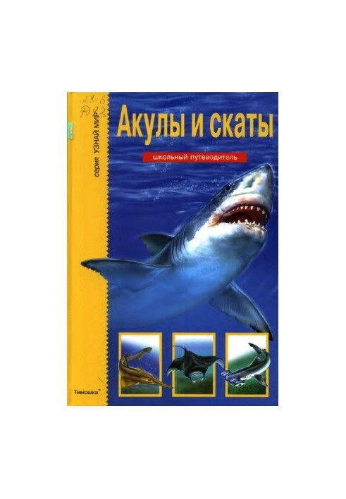 Акули та скати