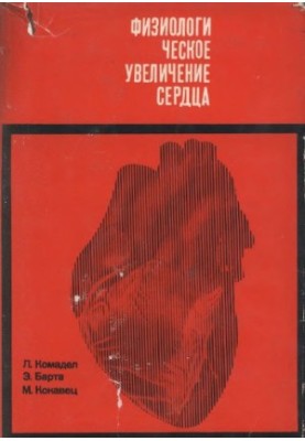 Физиологическое увеличение сердца