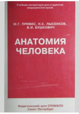 Анатомия человека